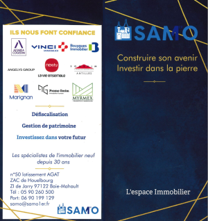 Présentation SAMO1er